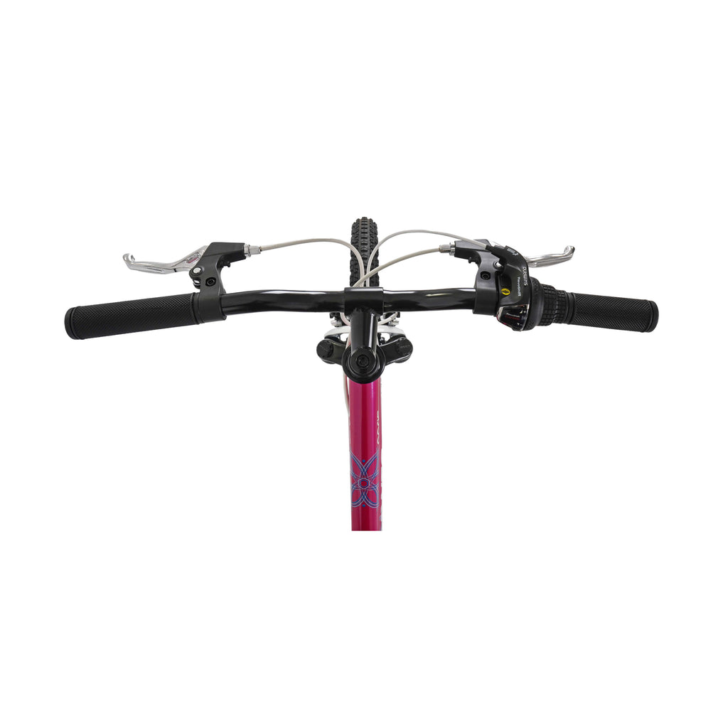 Dawes 20-inch Paris HT Kids Mountain Bike - Pink