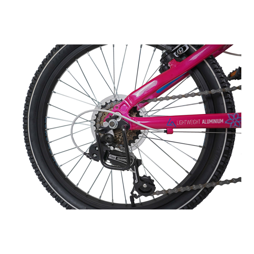 Dawes 20-inch Paris HT Kids Mountain Bike - Pink