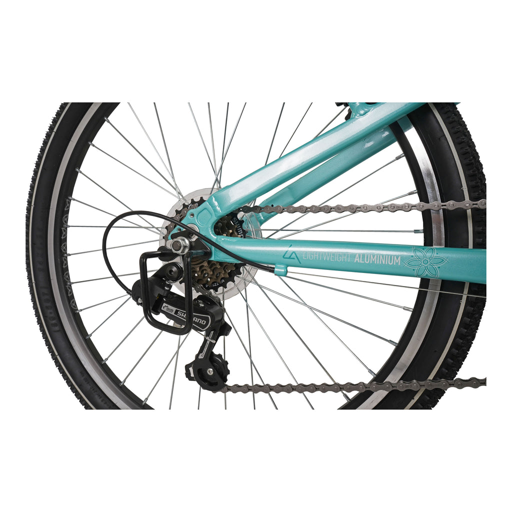 Dawes 24-inch Paris HT Kids Mountain Bike - Mint