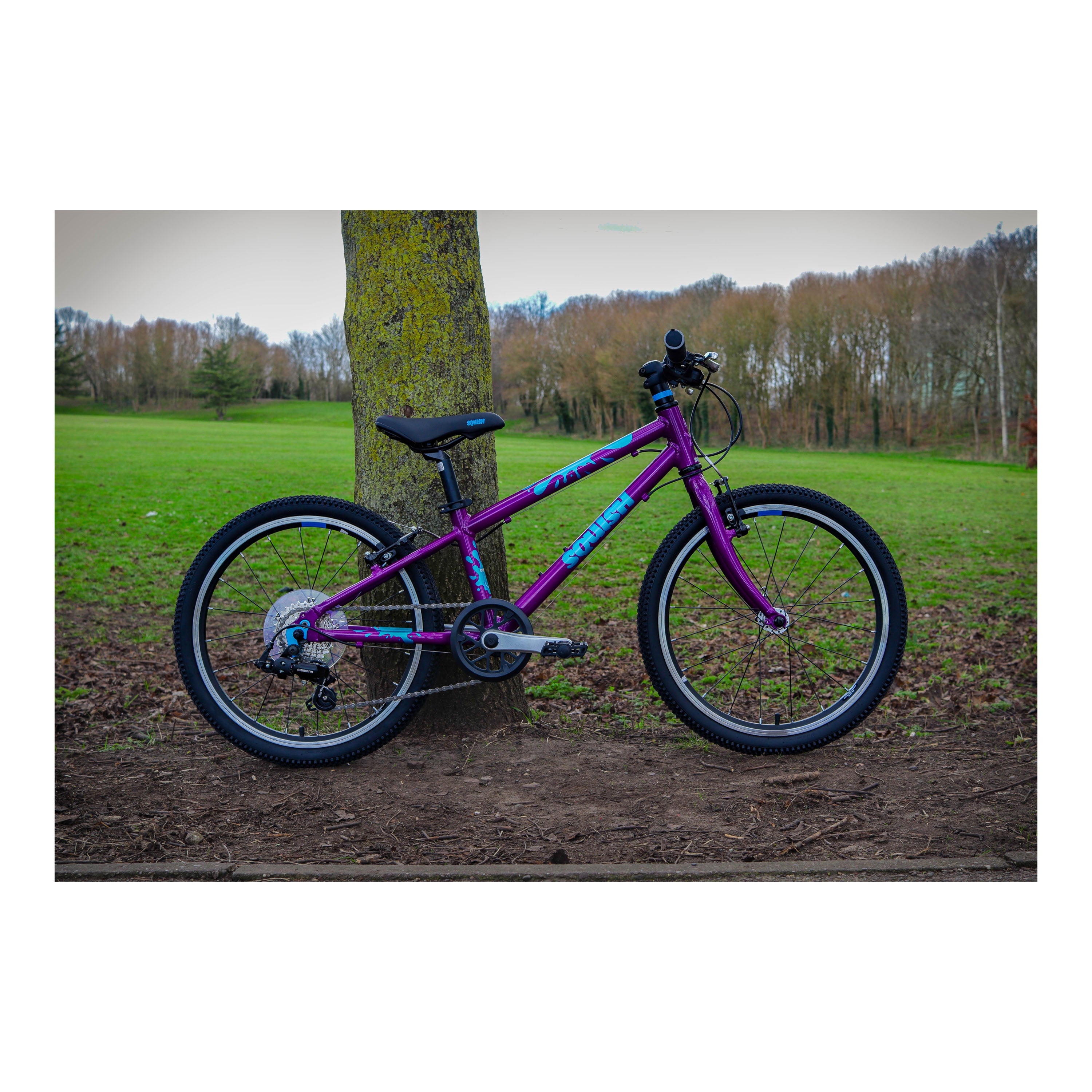 Squish 20-inch Kids Bike - Purple