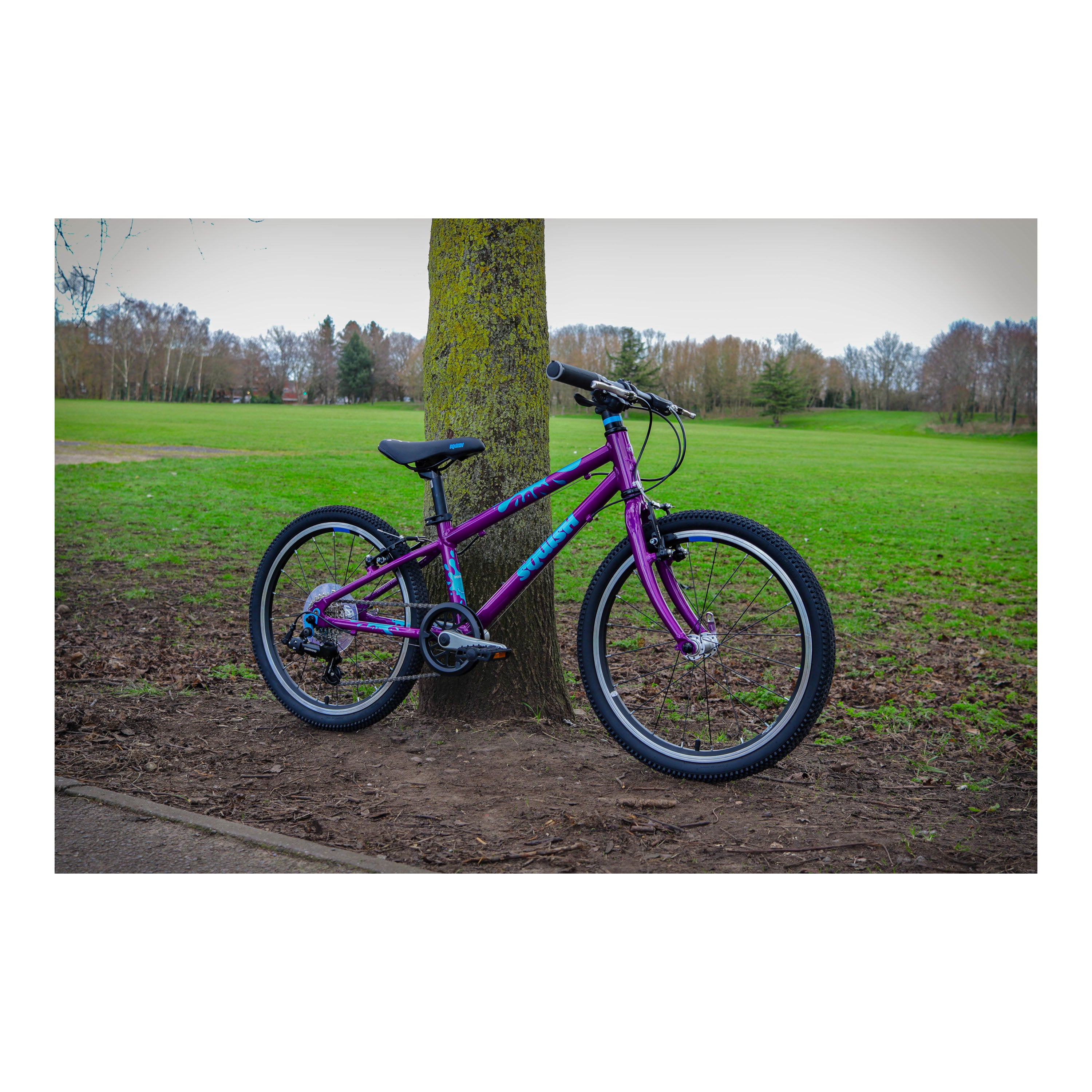 Squish 20-inch Kids Bike - Purple
