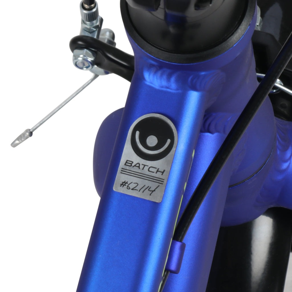Batch 12in Kids Bike, Blue, 3 to 5 year olds