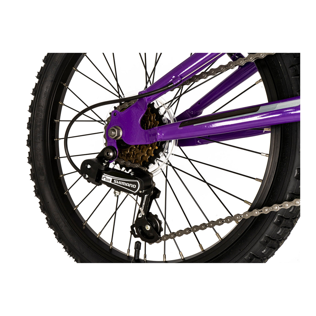 Falcon Moonstone 20-inch Kids Mountain Bike - Purple