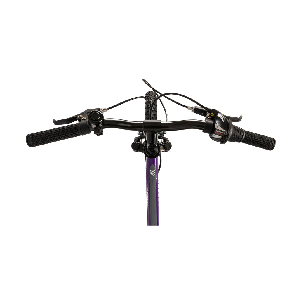 Falcon Moonstone 20-inch Kids Mountain Bike - Purple