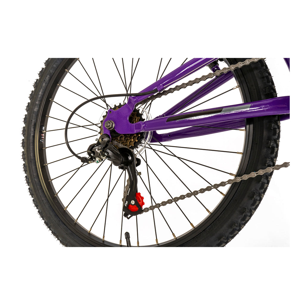 Falcon Siren 24-inch Kids Mountain Bike - Purple