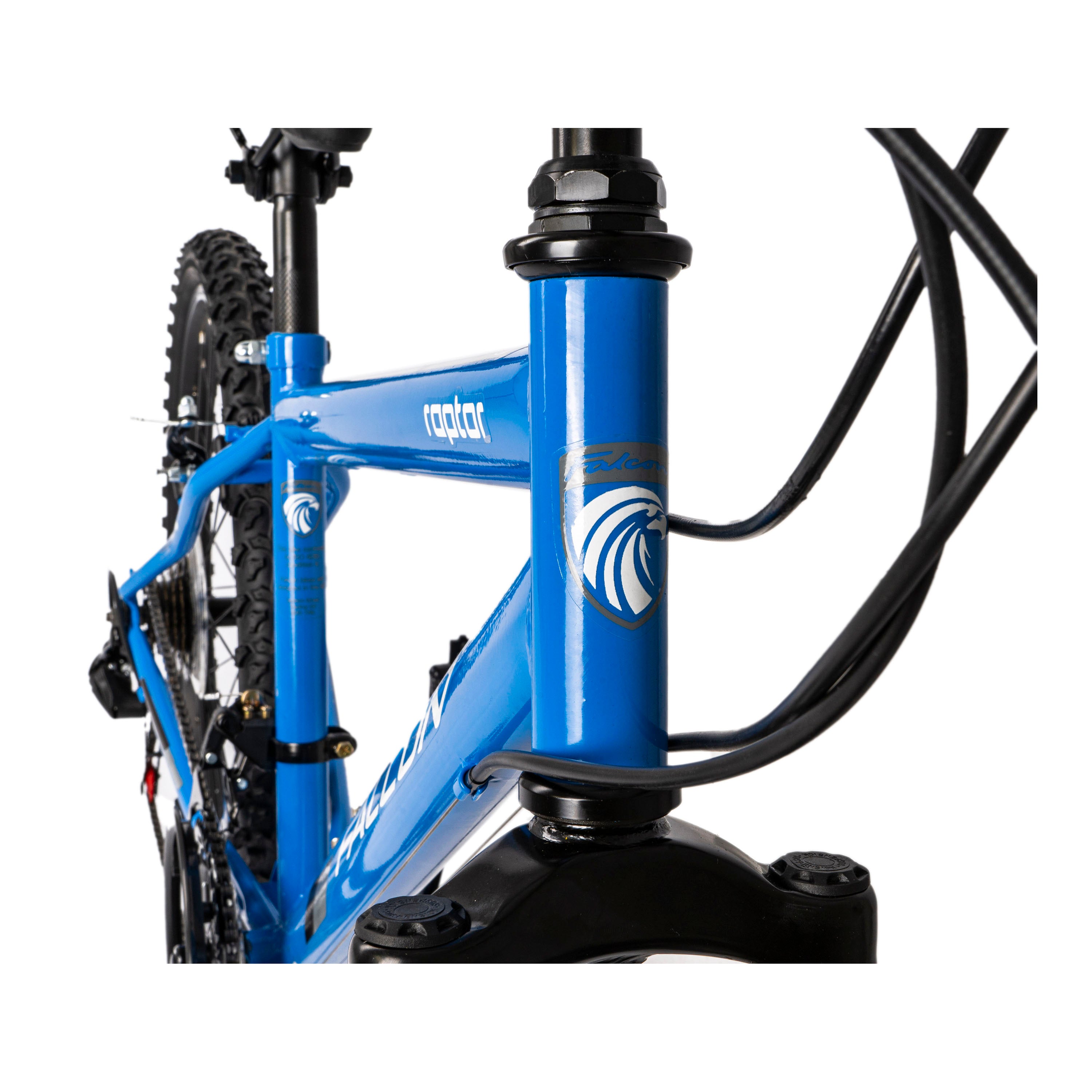 Falcon Raptor 24-inch Kids Mountain Bike - Blue