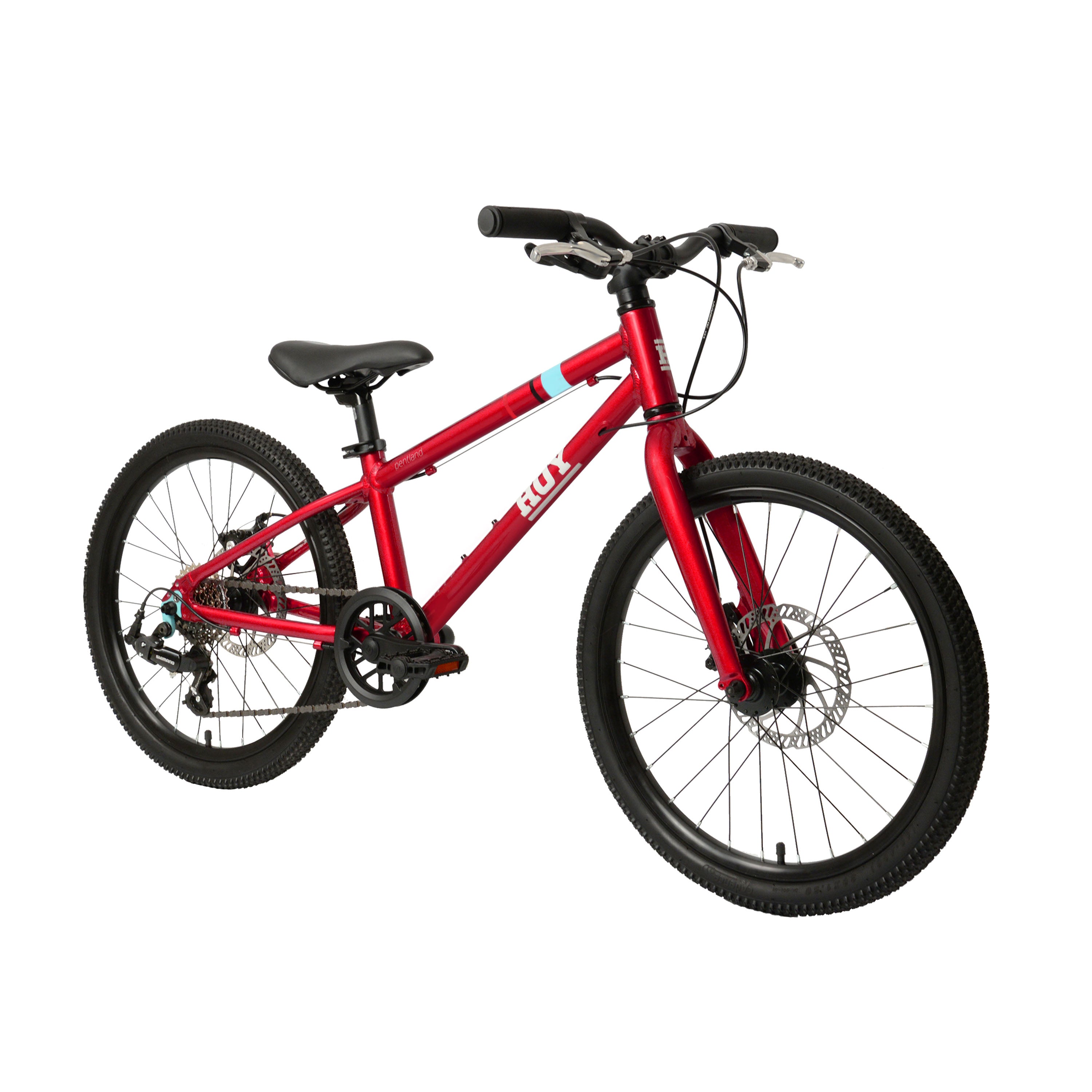 Hoy Pentland 20-inch Sprint Red Kids Bike - Red