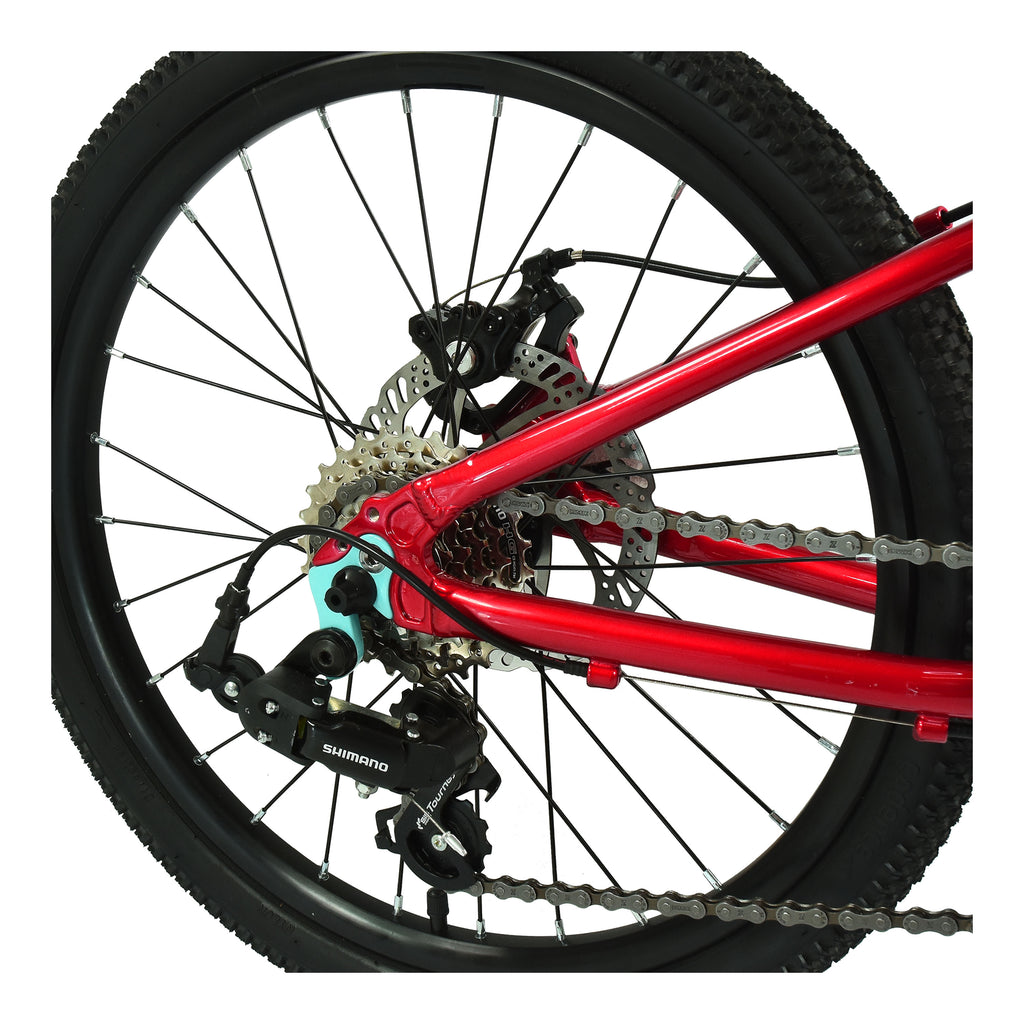 Hoy Pentland 20-inch Sprint Red Kids Bike - Red