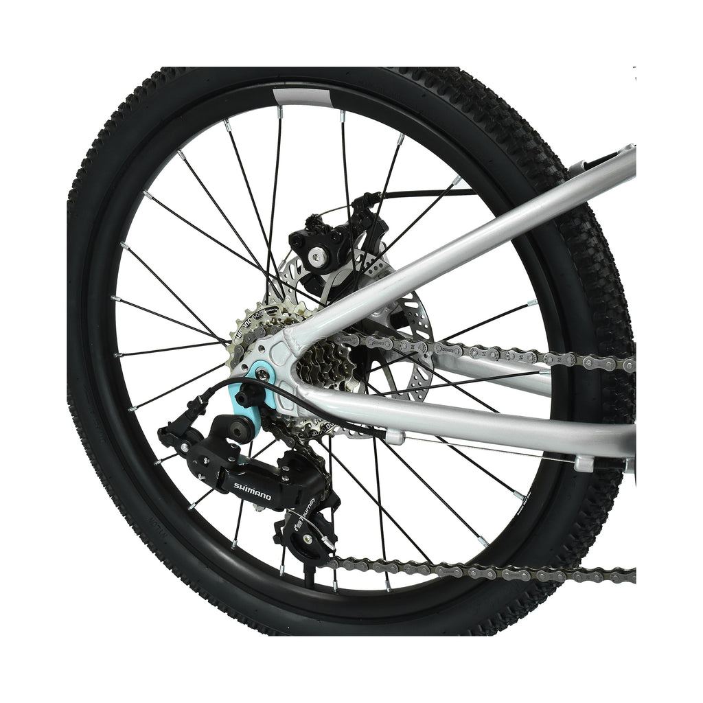 Hoy Pentland 20-inch Titanium Silver Kids Bike - Silver
