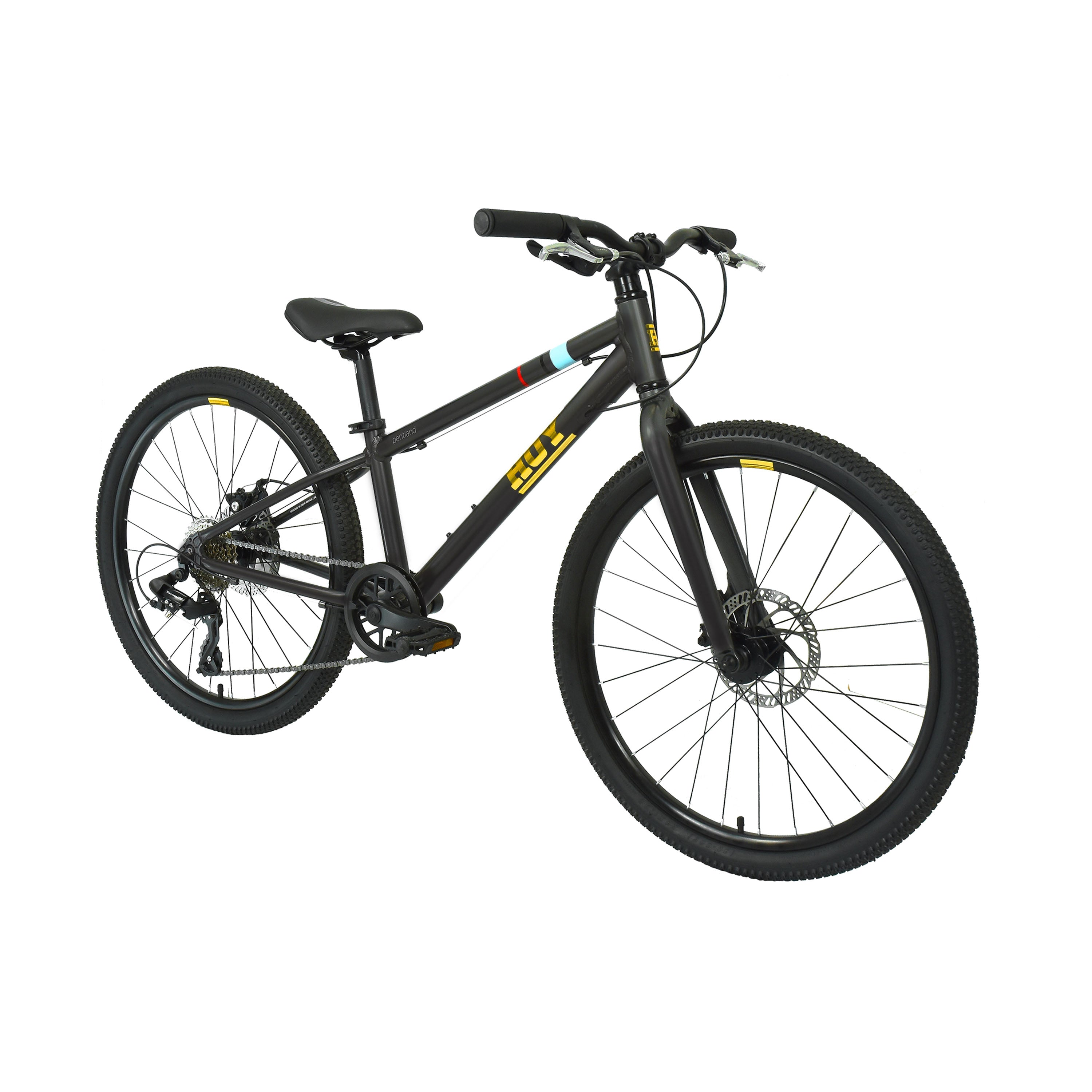 Hoy Pentland 24-inch Stealth Black Kids Bike - Black