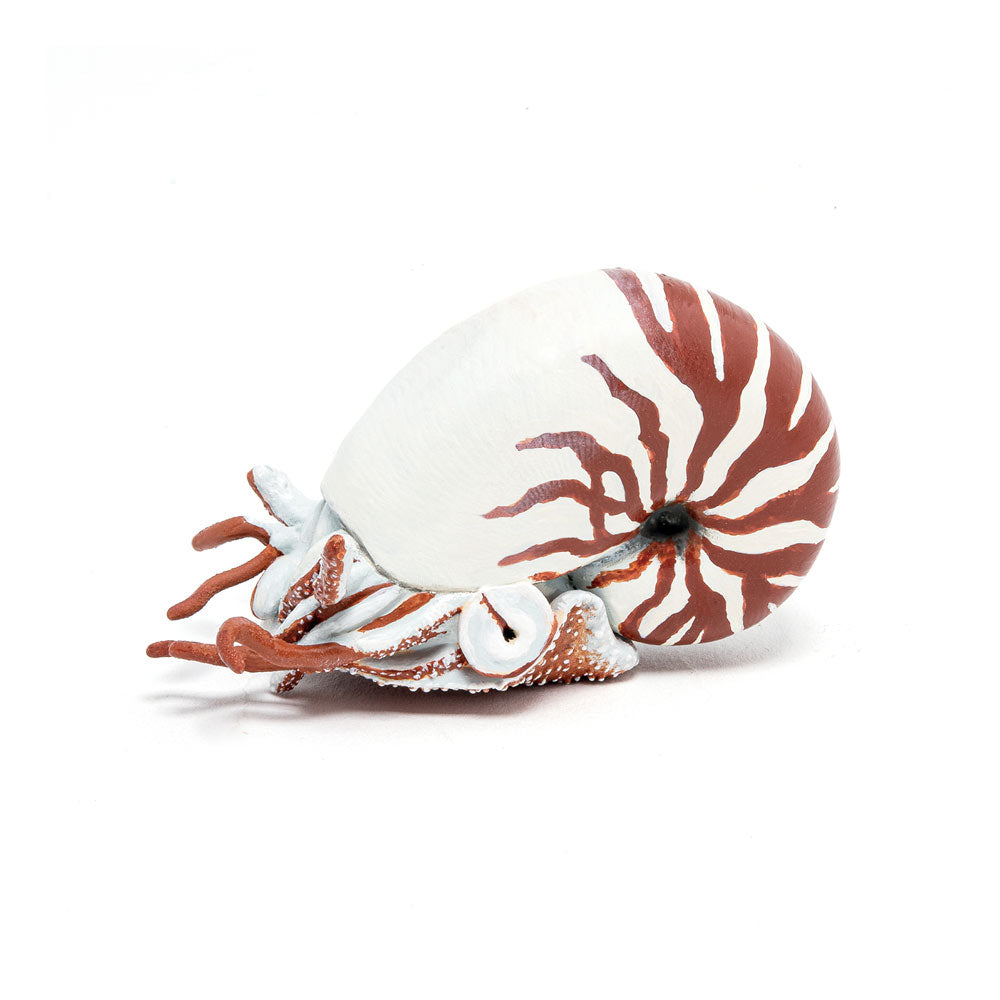 Papo Marine Life Nautilus Toy Figure