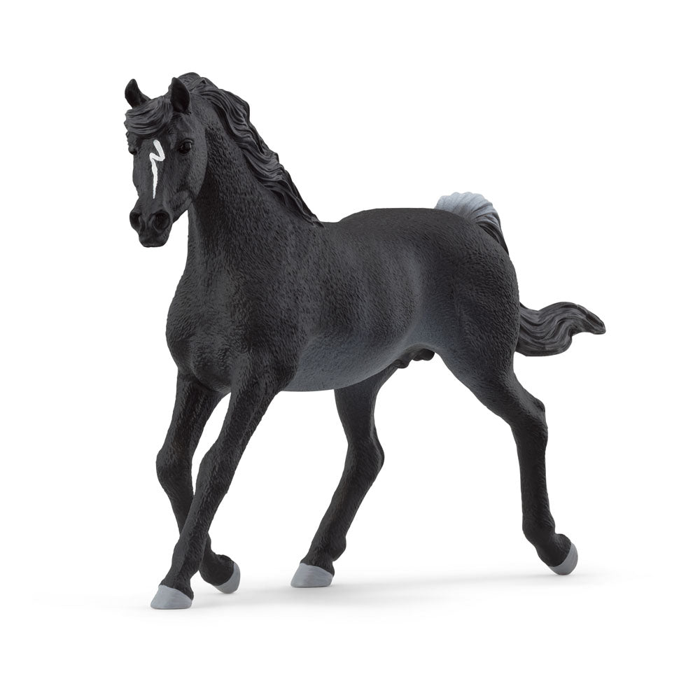 Schleich Horse Club Arab Stallion Toy Figure