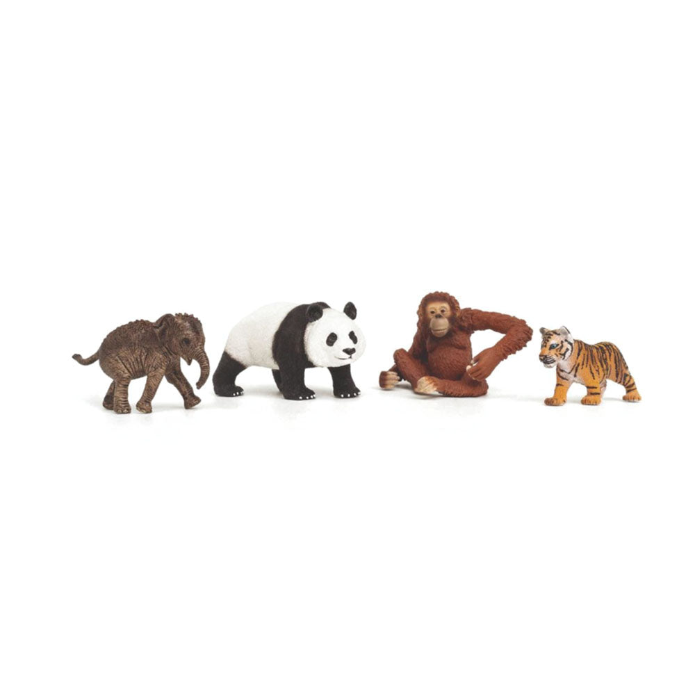 Schleich Wild Life Asia Starter Toy Figure Set