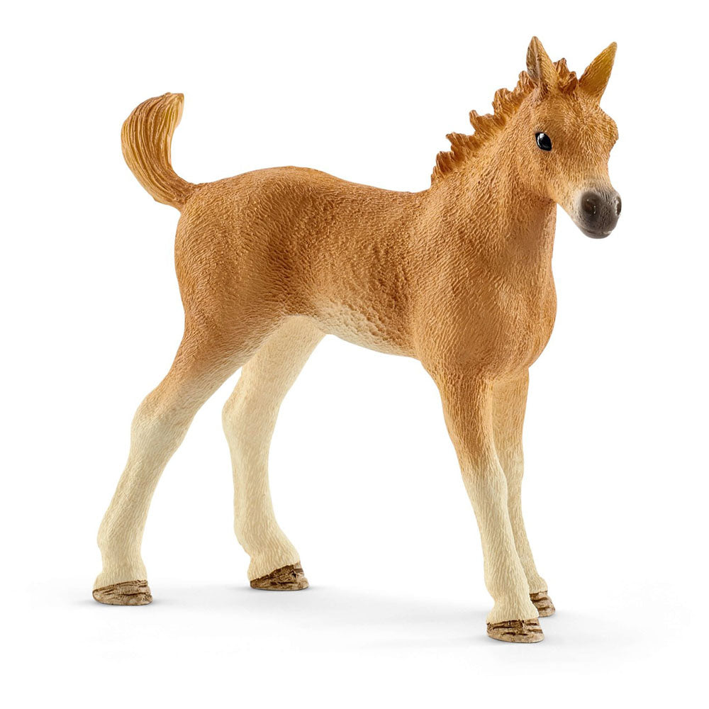 Schleich Horse Club Sarah's Baby Animal Care