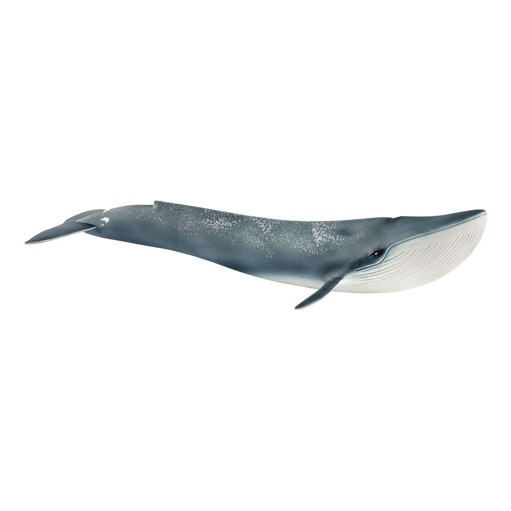 Schleich Wild Life Blue Whale Toy Figure