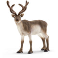 Schleich Wild Life Reindeer Toy Figure