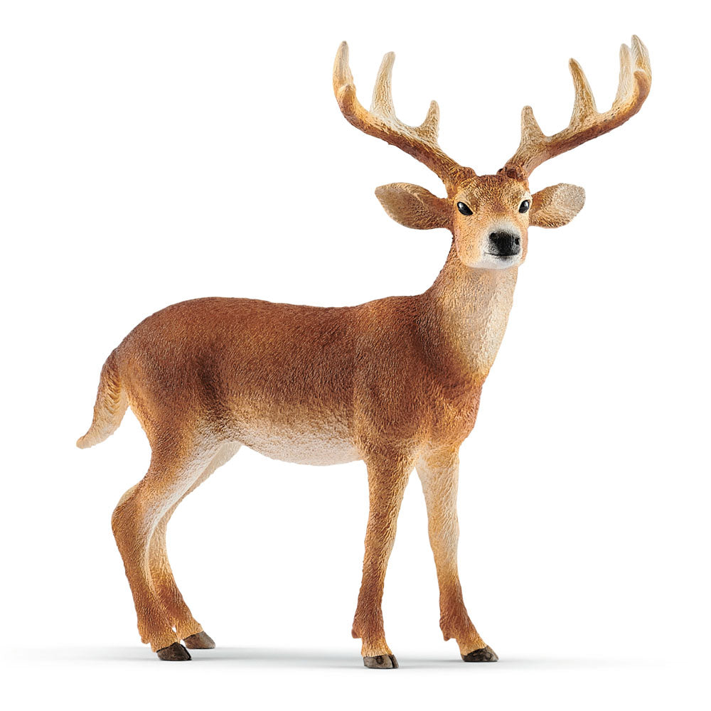 Schleich Wild Life White-Tailed Buck Toy Figure