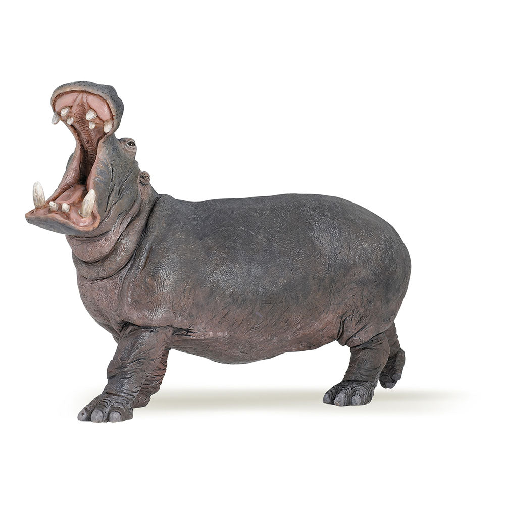 Papo Wild Animal Kingdom Hippopotamus Toy Figure