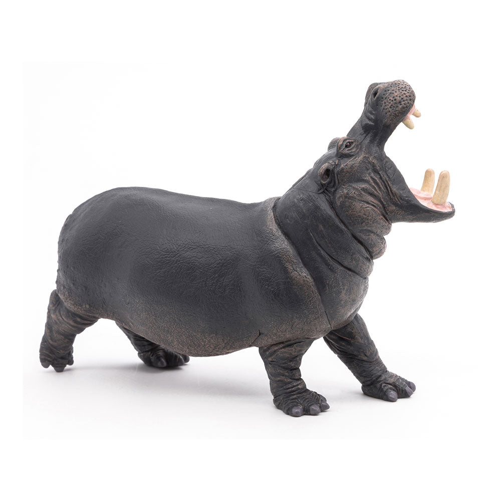 Papo Wild Animal Kingdom Hippopotamus Toy Figure