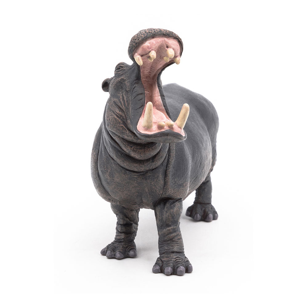 Papo Wild Animal Kingdom Hippopotamus Toy Figure