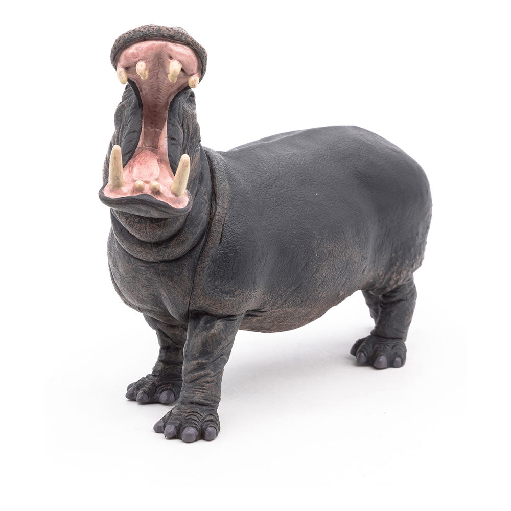 Papo Wild Animal Kingdom Hippopotamus Toy Figure