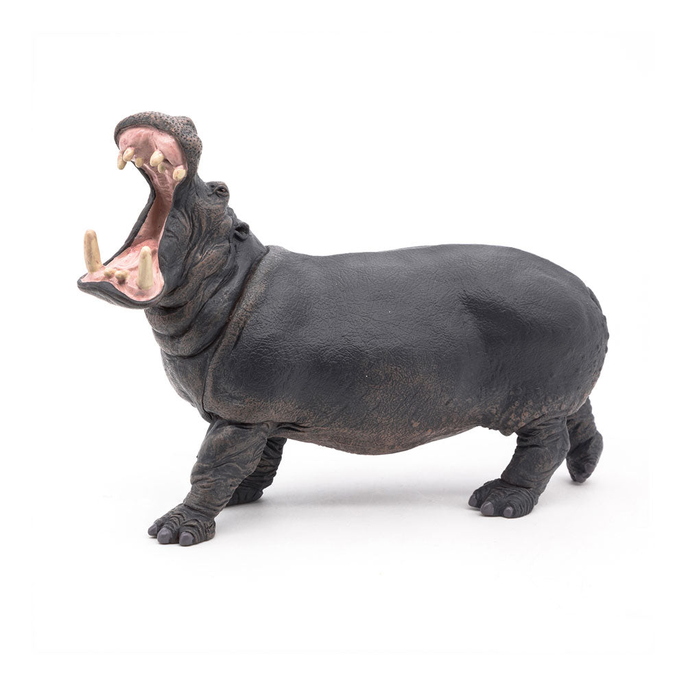 Papo Wild Animal Kingdom Hippopotamus Toy Figure