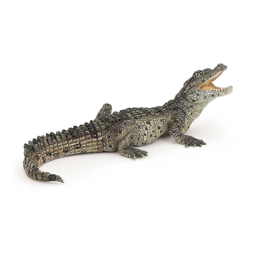 Papo Wild Animal Kingdom Baby Crocodile Toy Figure