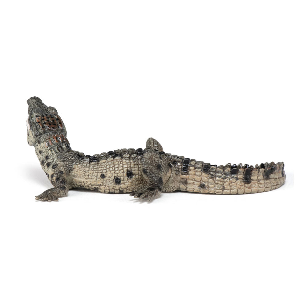 Papo Wild Animal Kingdom Baby Crocodile Toy Figure