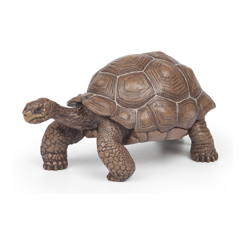 Papo Wild Animal Kingdom Galapagos Tortoise Toy Figure