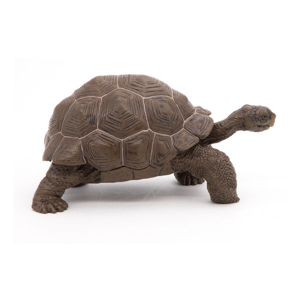 Papo Wild Animal Kingdom Galapagos Tortoise Toy Figure