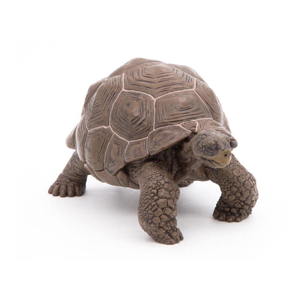 Papo Wild Animal Kingdom Galapagos Tortoise Toy Figure