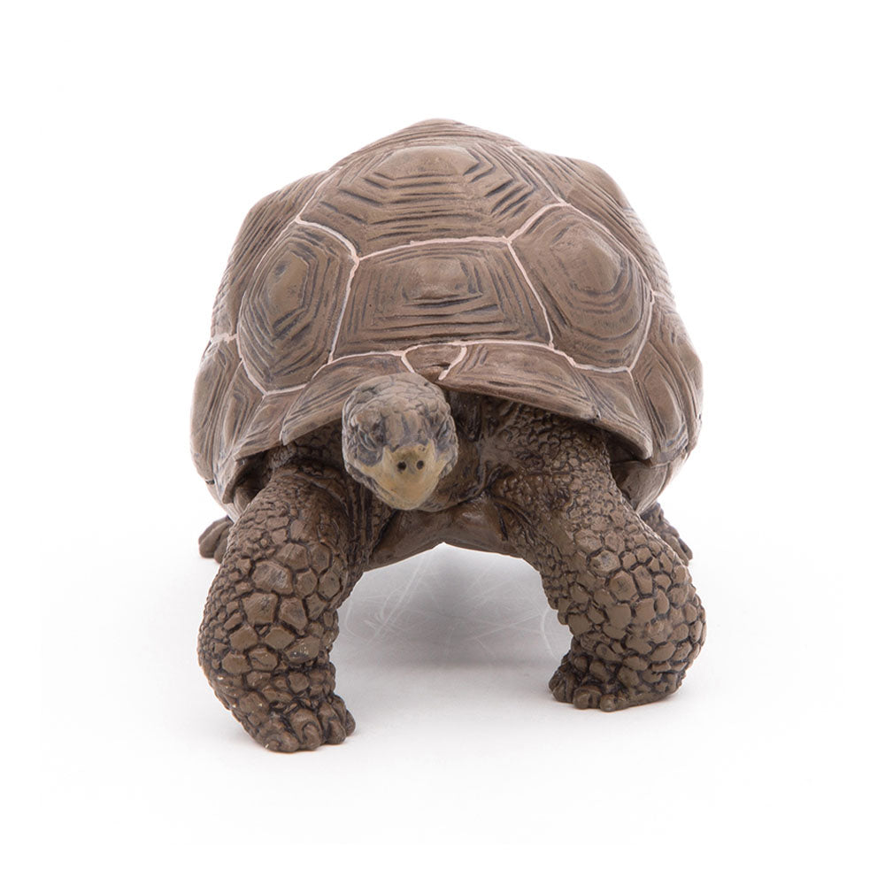 Papo Wild Animal Kingdom Galapagos Tortoise Toy Figure