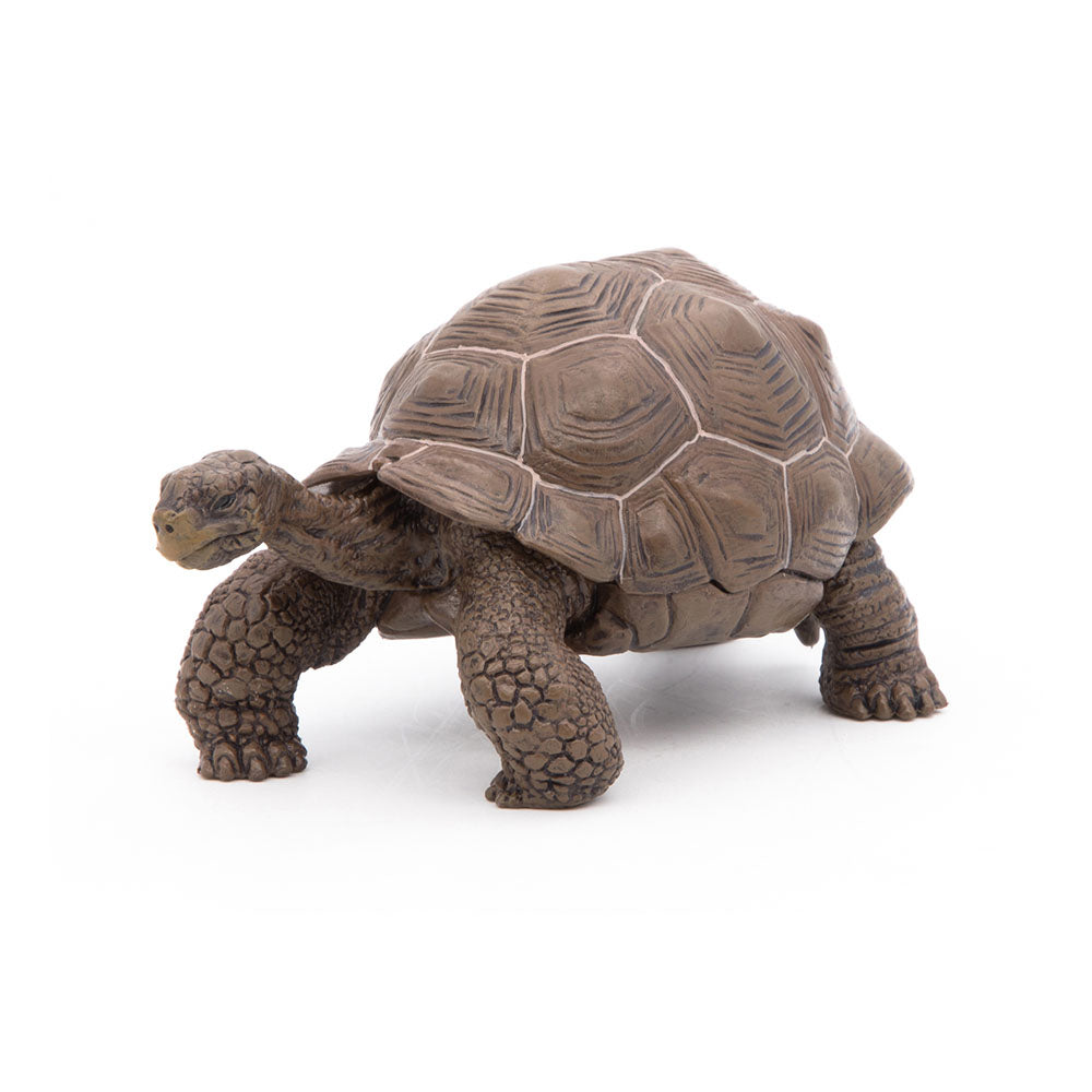 Papo Wild Animal Kingdom Galapagos Tortoise Toy Figure