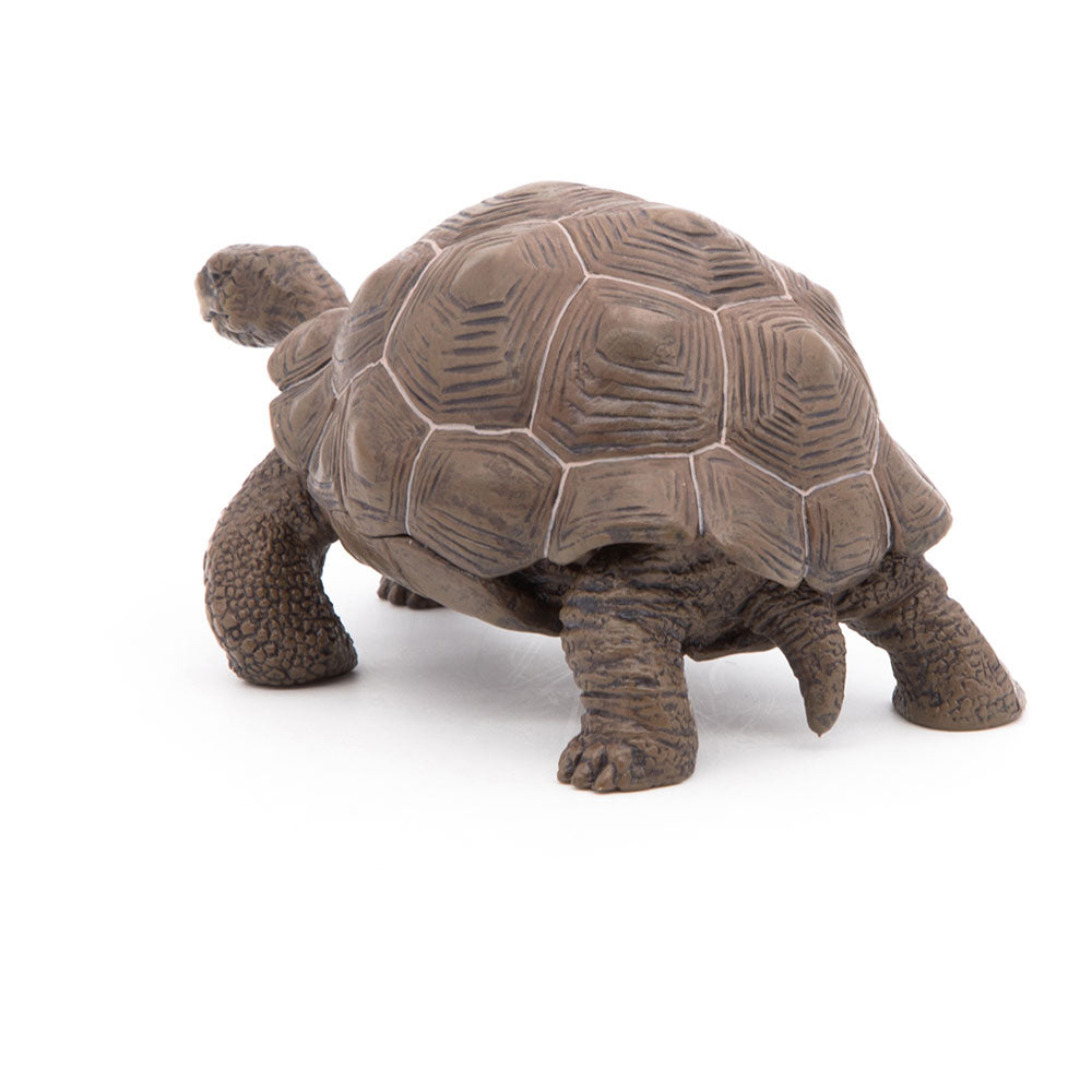 Papo Wild Animal Kingdom Galapagos Tortoise Toy Figure