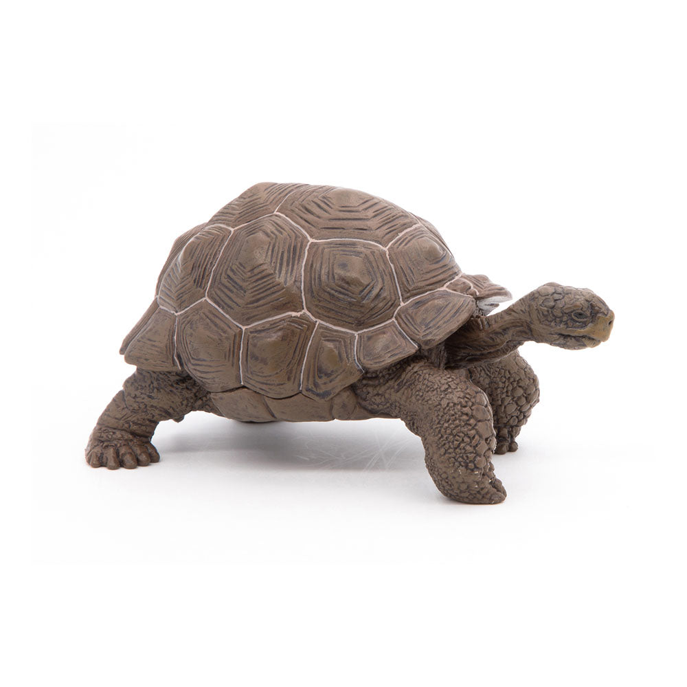 Papo Wild Animal Kingdom Galapagos Tortoise Toy Figure