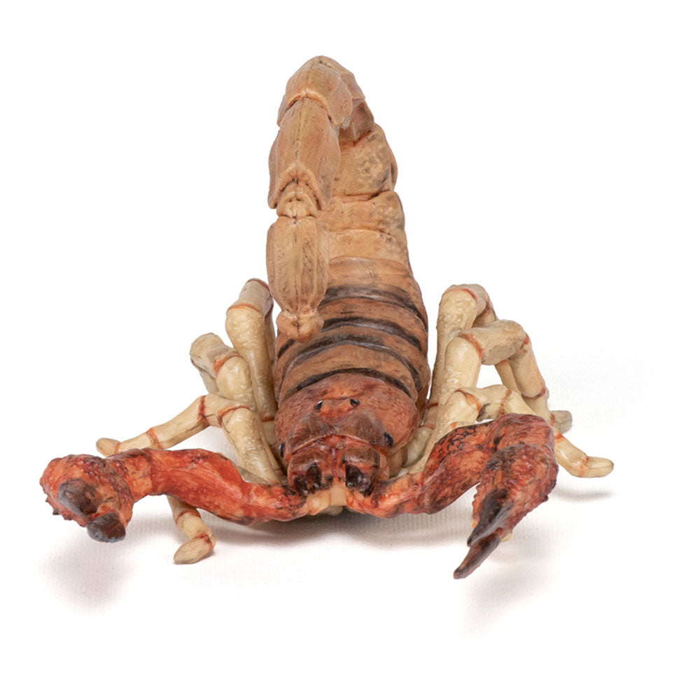 Papo Wild Animal Kingdom Scorpion Toy Figure