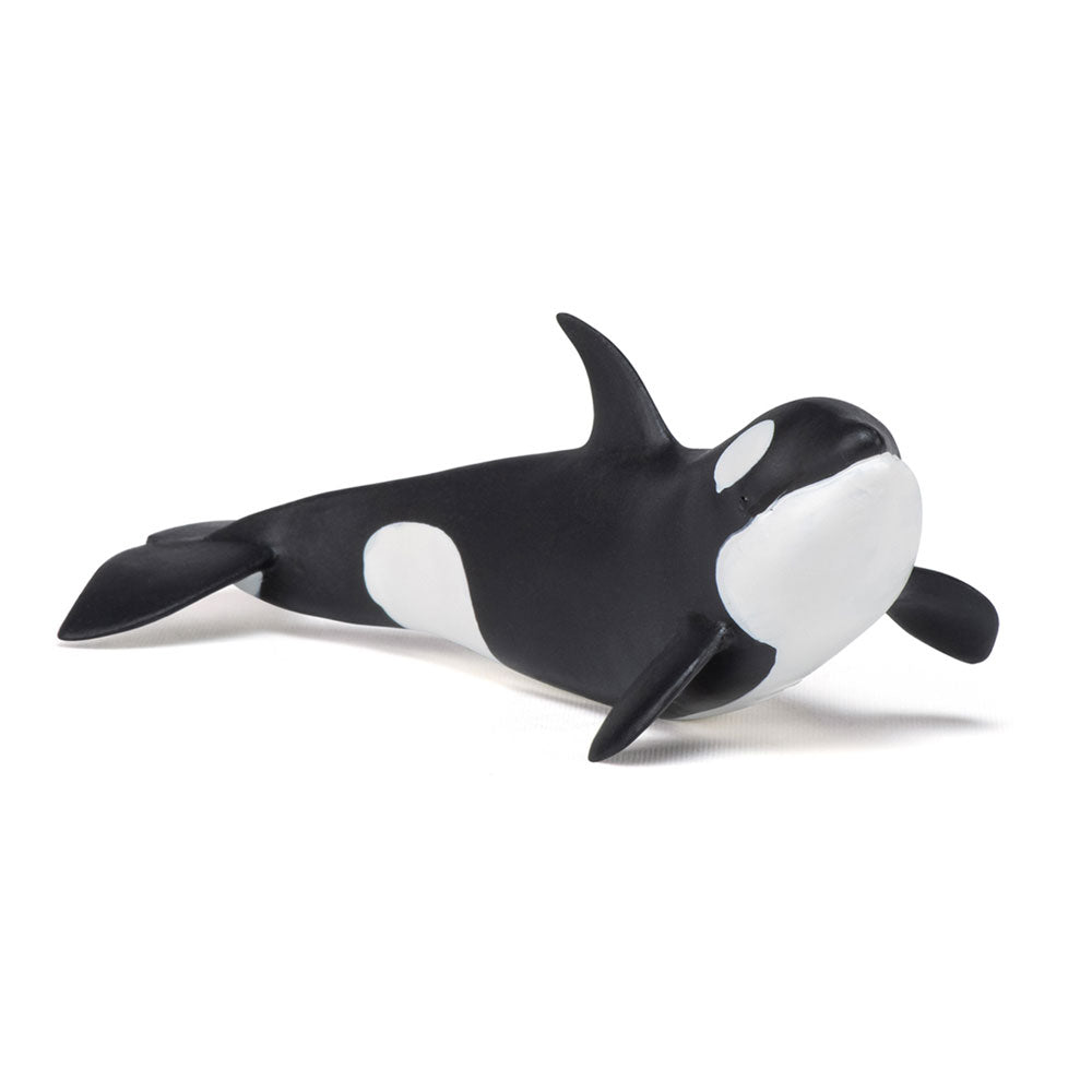 Papo Marine Life Killer Whale Calf Toy Figure