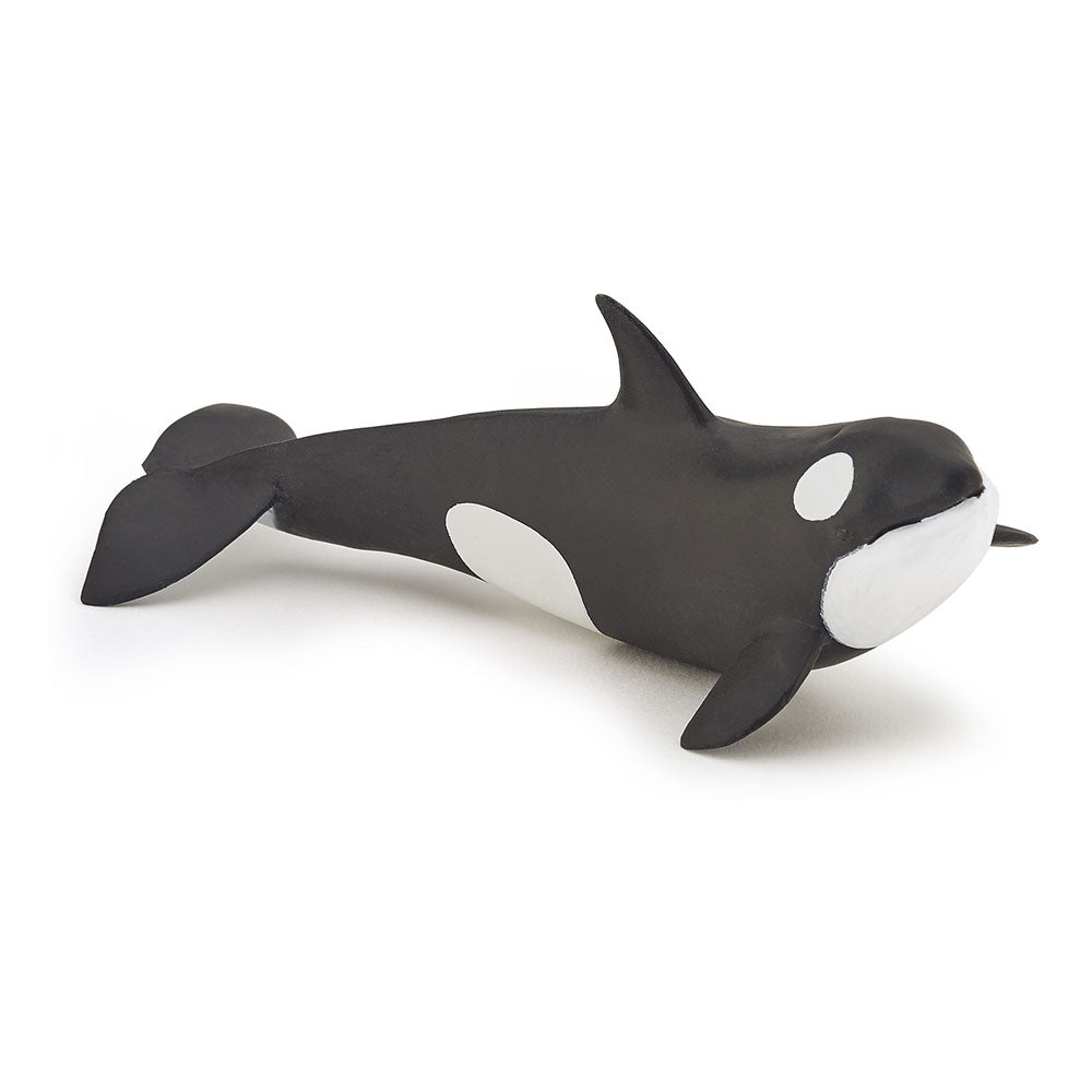 Papo Marine Life Killer Whale Calf Toy Figure