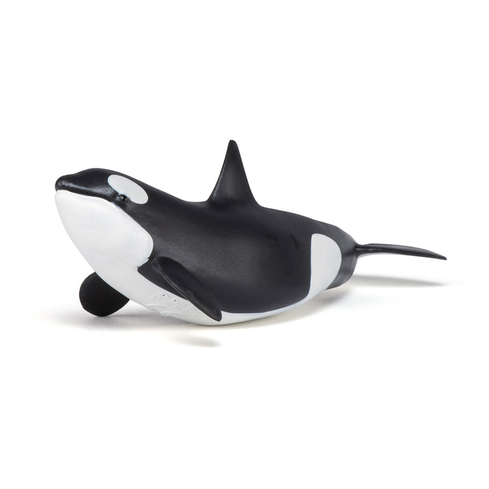 Papo Marine Life Killer Whale Calf Toy Figure