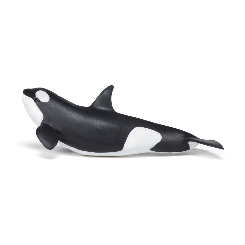 Papo Marine Life Killer Whale Calf Toy Figure
