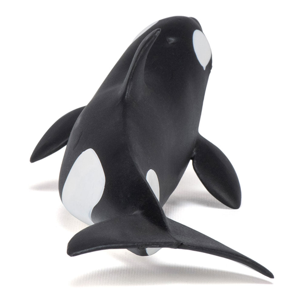 Papo Marine Life Killer Whale Calf Toy Figure