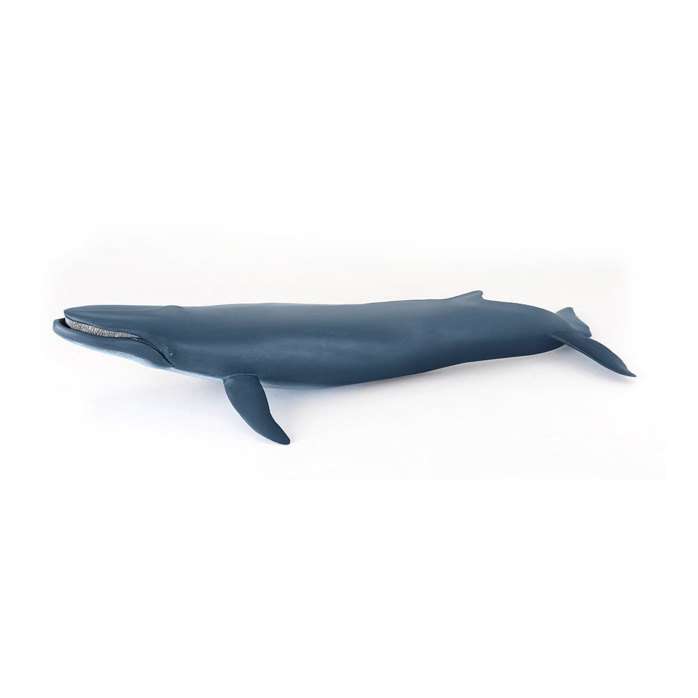 Papo Marine Life Blue Whale Toy Figure