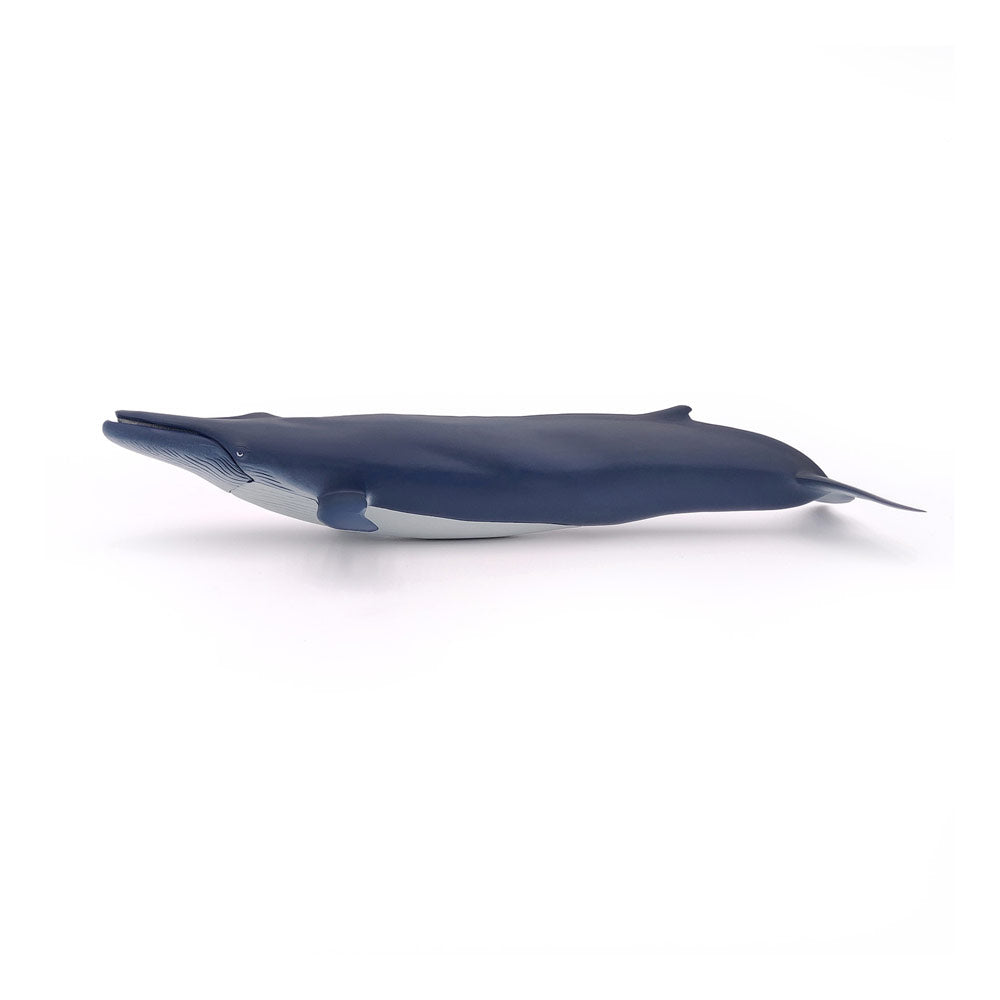 Papo Marine Life Blue Whale Toy Figure