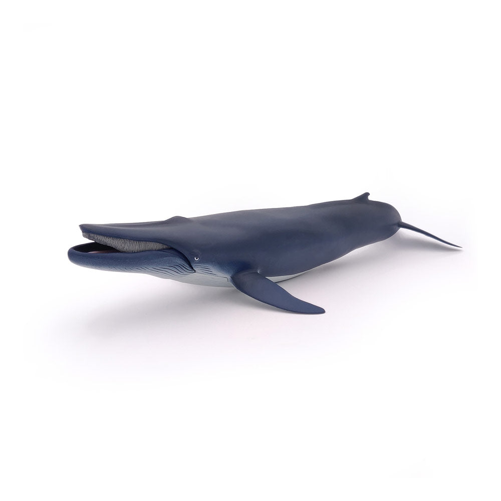Papo Marine Life Blue Whale Toy Figure