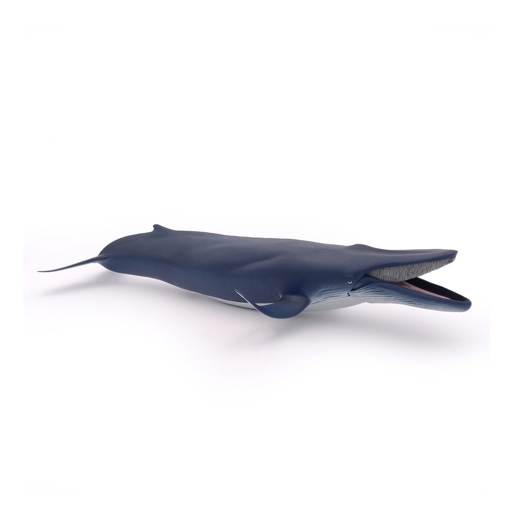 Papo Marine Life Blue Whale Toy Figure