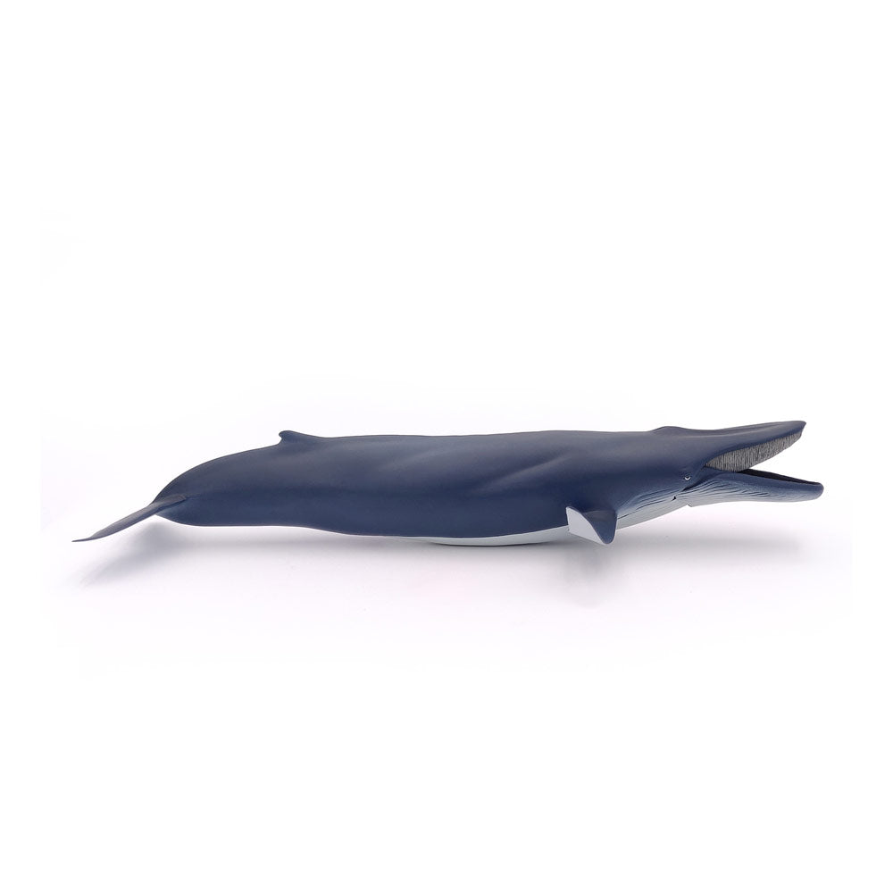 Papo Marine Life Blue Whale Toy Figure