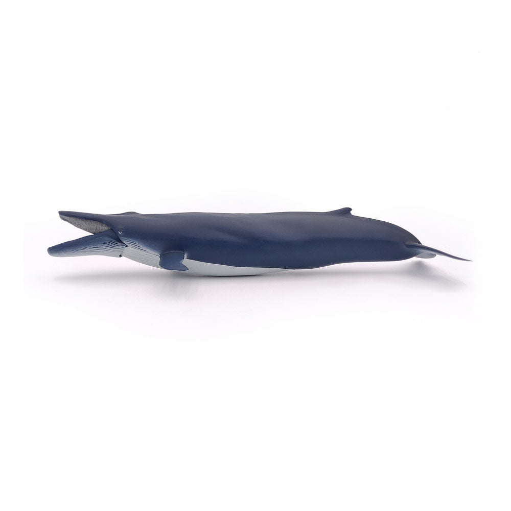 Papo Marine Life Blue Whale Toy Figure
