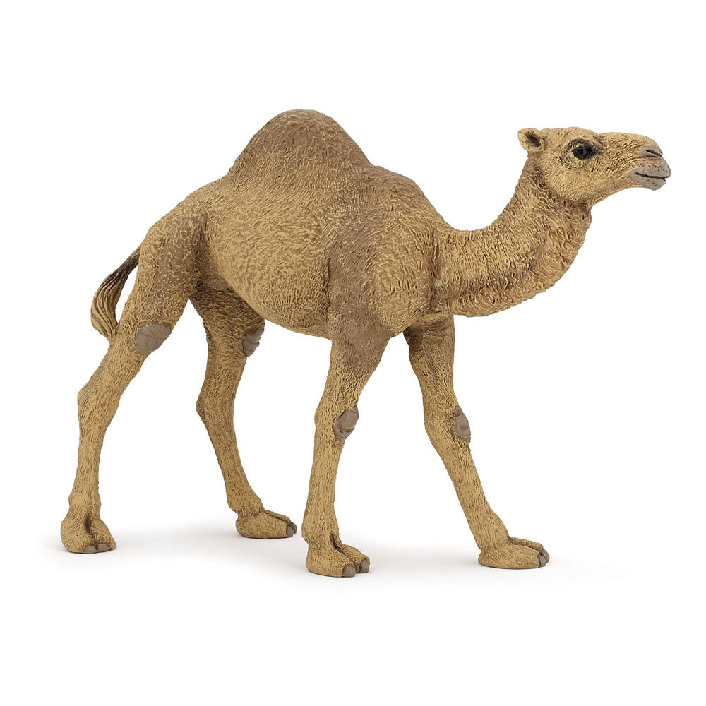 Papo Wild Animal Kingdom Dromedary Toy Figure