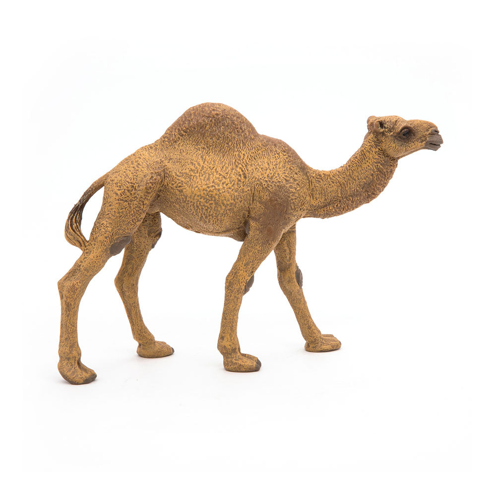 Papo Wild Animal Kingdom Dromedary Toy Figure