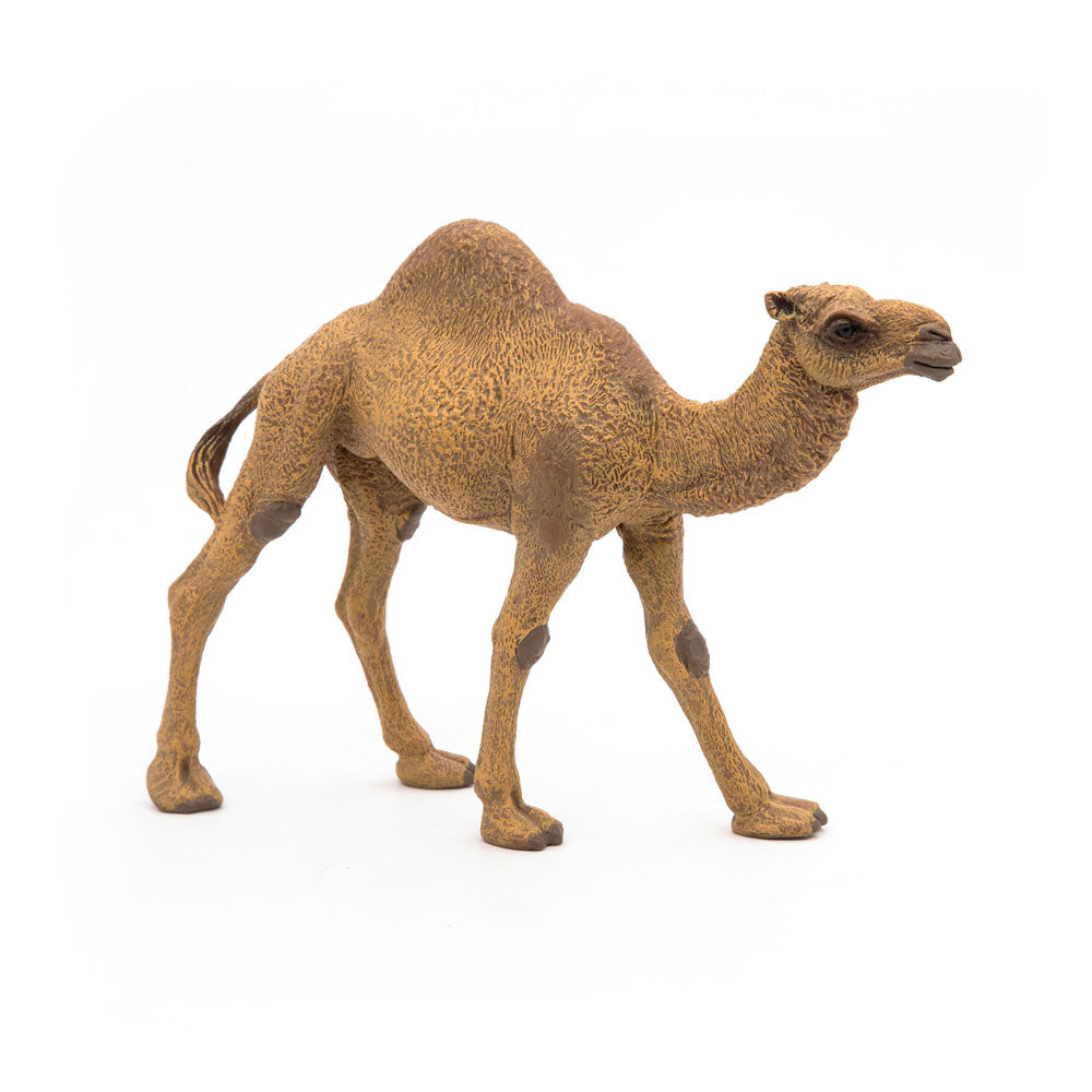 Papo Wild Animal Kingdom Dromedary Toy Figure